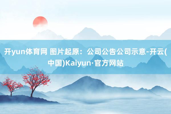 开yun体育网 　　图片起原：公司公告　　公司示意-开云(中国)Kaiyun·官方网站