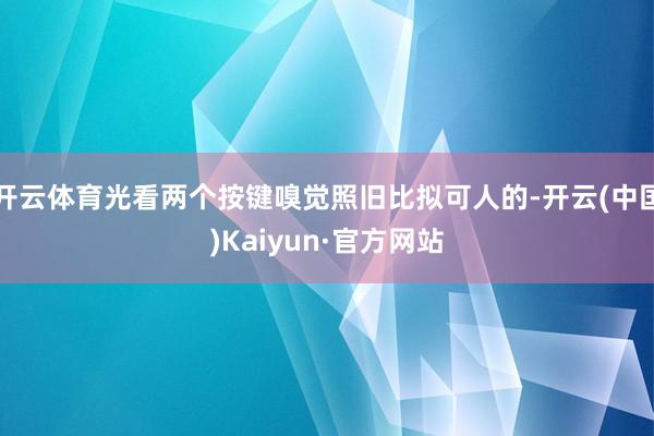 开云体育光看两个按键嗅觉照旧比拟可人的-开云(中国)Kaiyun·官方网站