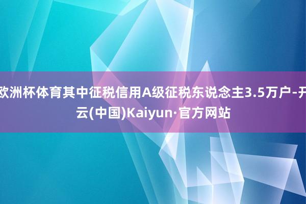 欧洲杯体育其中征税信用A级征税东说念主3.5万户-开云(中国)Kaiyun·官方网站