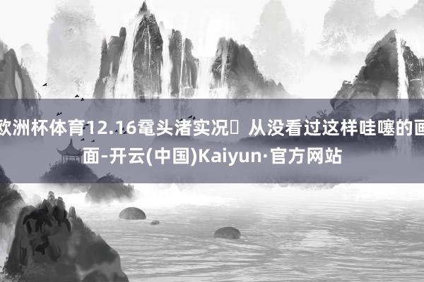 欧洲杯体育12.16鼋头渚实况❗从没看过这样哇噻的画面-开云(中国)Kaiyun·官方网站