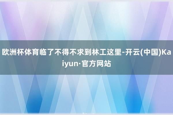 欧洲杯体育临了不得不求到林工这里-开云(中国)Kaiyun·