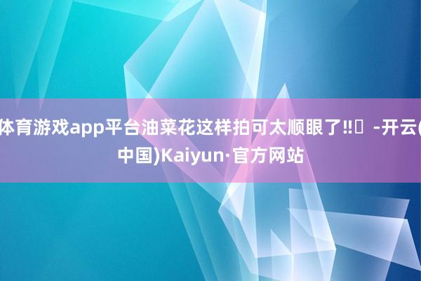 体育游戏app平台油菜花这样拍可太顺眼了‼️-开云(中国)K