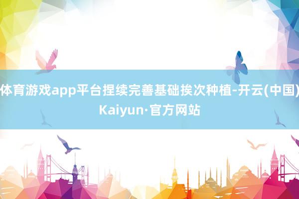 体育游戏app平台捏续完善基础挨次种植-开云(中国)Kaiy