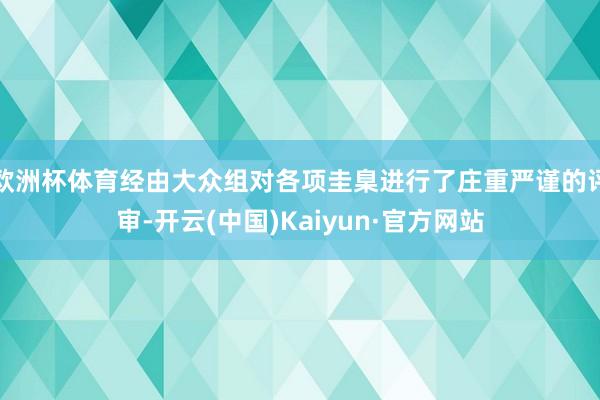 欧洲杯体育经由大众组对各项圭臬进行了庄重严谨的评审-开云(中