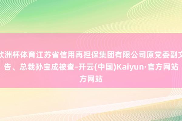 欧洲杯体育江苏省信用再担保集团有限公司原党委副文告、总裁孙宝