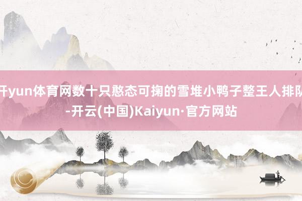 开yun体育网数十只憨态可掬的雪堆小鸭子整王人排队-开云(中国)Kaiyun·官方网站