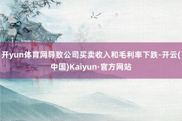 开yun体育网导致公司买卖收入和毛利率下跌-开云(中国)Kaiyun·官方网站
