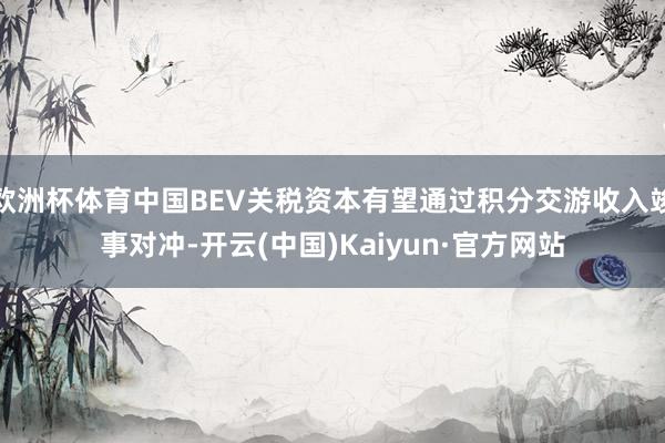 欧洲杯体育中国BEV关税资本有望通过积分交游收入竣事对冲-开云(中国)Kaiyun·官方网站