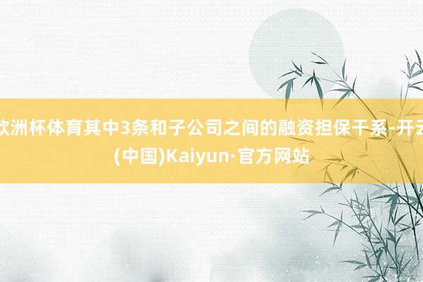 欧洲杯体育其中3条和子公司之间的融资担保干系-开云(中国)Kaiyun·官方网站